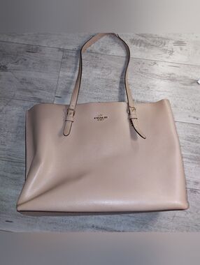 Coach Molly Leather Tote in Blush/Champagne